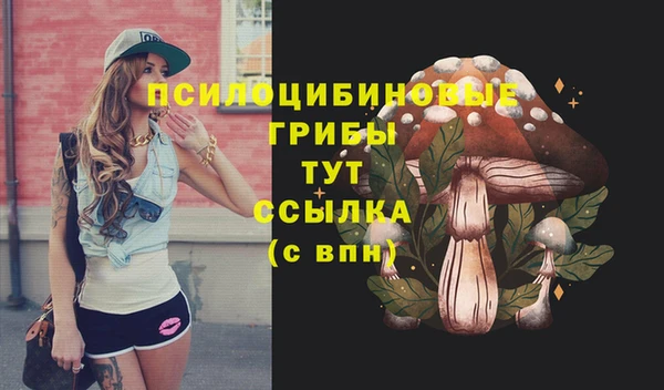прущие крисы Заволжск