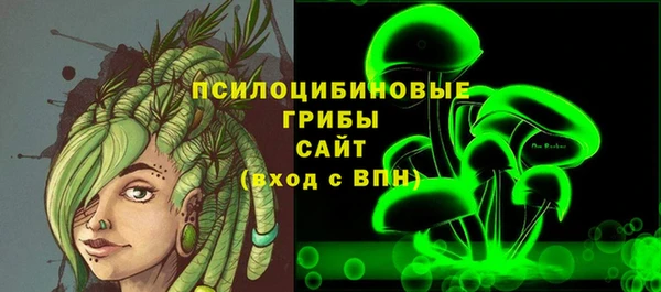 крисы Заводоуковск