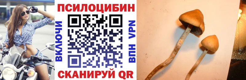 Псилоцибиновые грибы GOLDEN TEACHER  Купить  Дальнегорск 